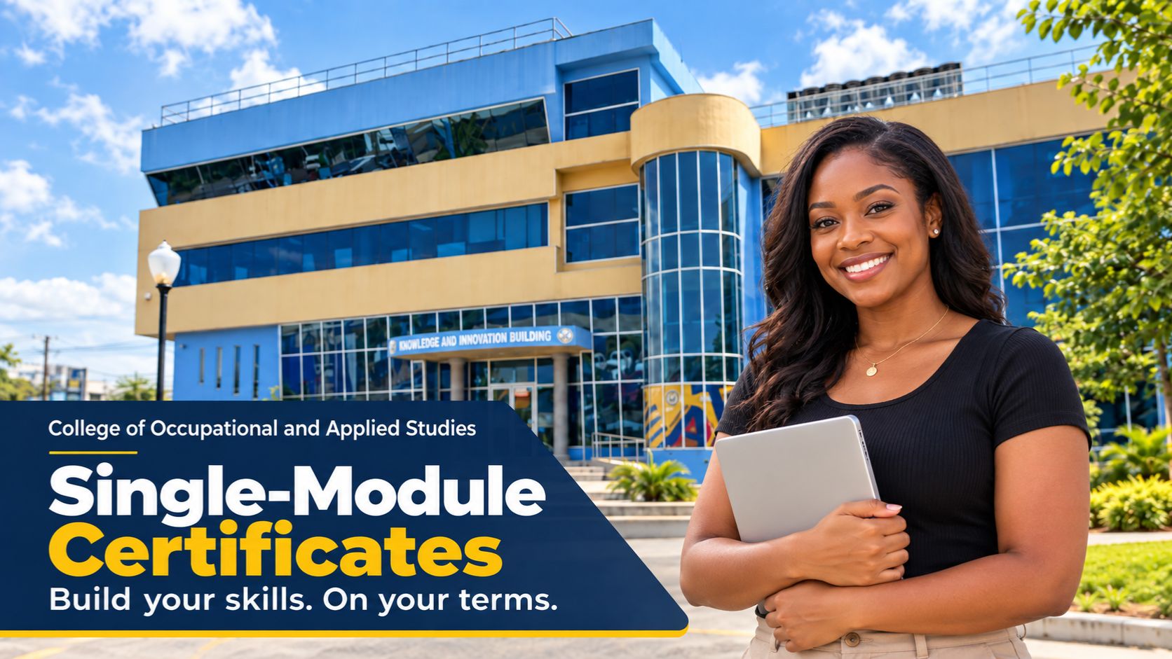 UCC Single Module Certificates