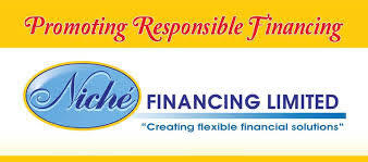 Niche Financing Limited logo